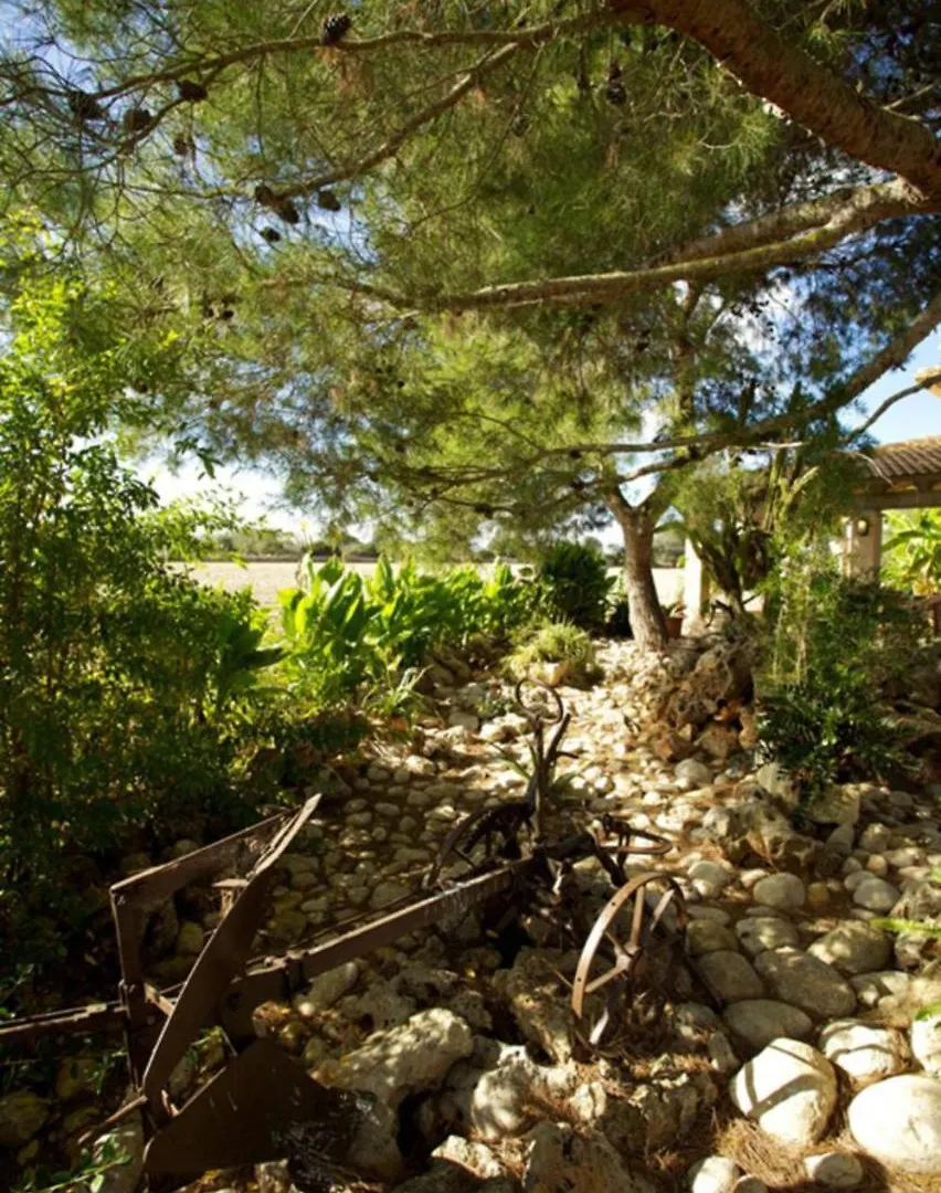 Vila Ribes Santa Margalida