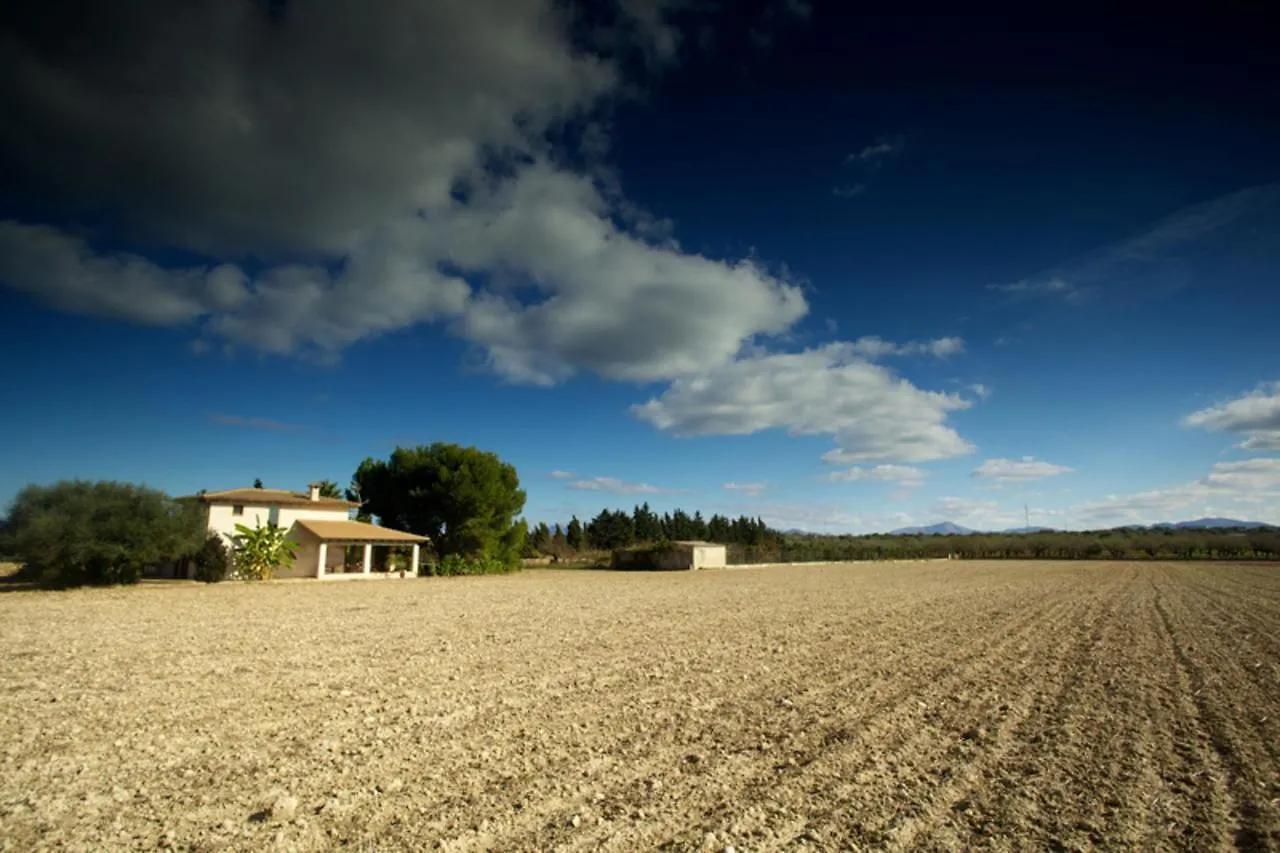 Villa Ribes Santa Margalida Casa vacanze