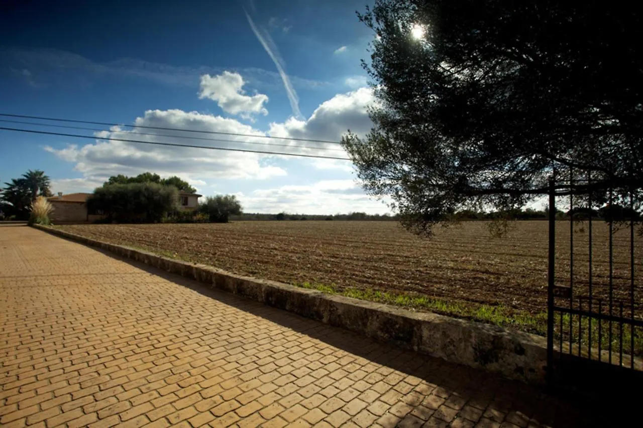Villa Ribes Santa Margalida